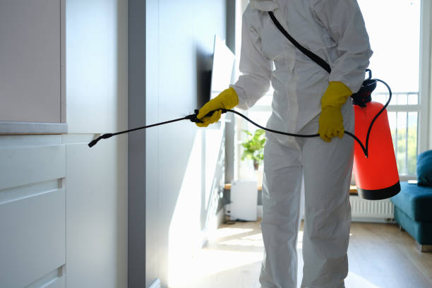 Best Residential Mold Remediation in Vinton, LA